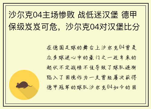 沙尔克04主场惨败 战低迷汉堡 德甲保级岌岌可危，沙尔克04对汉堡比分预测