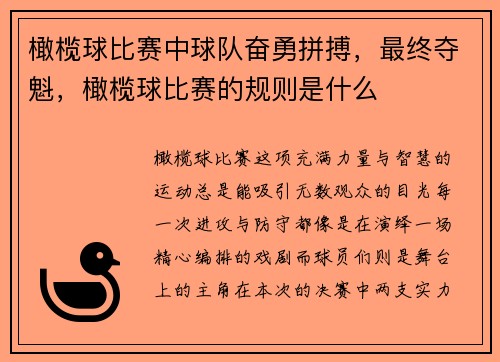 橄榄球比赛中球队奋勇拼搏，最终夺魁，橄榄球比赛的规则是什么
