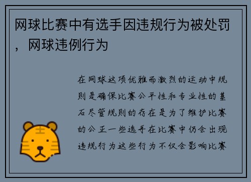 网球比赛中有选手因违规行为被处罚，网球违例行为